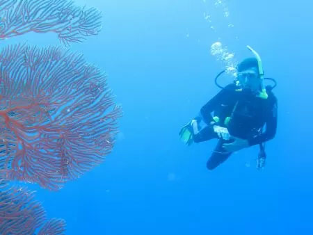 A man in the sea and a coral reefs