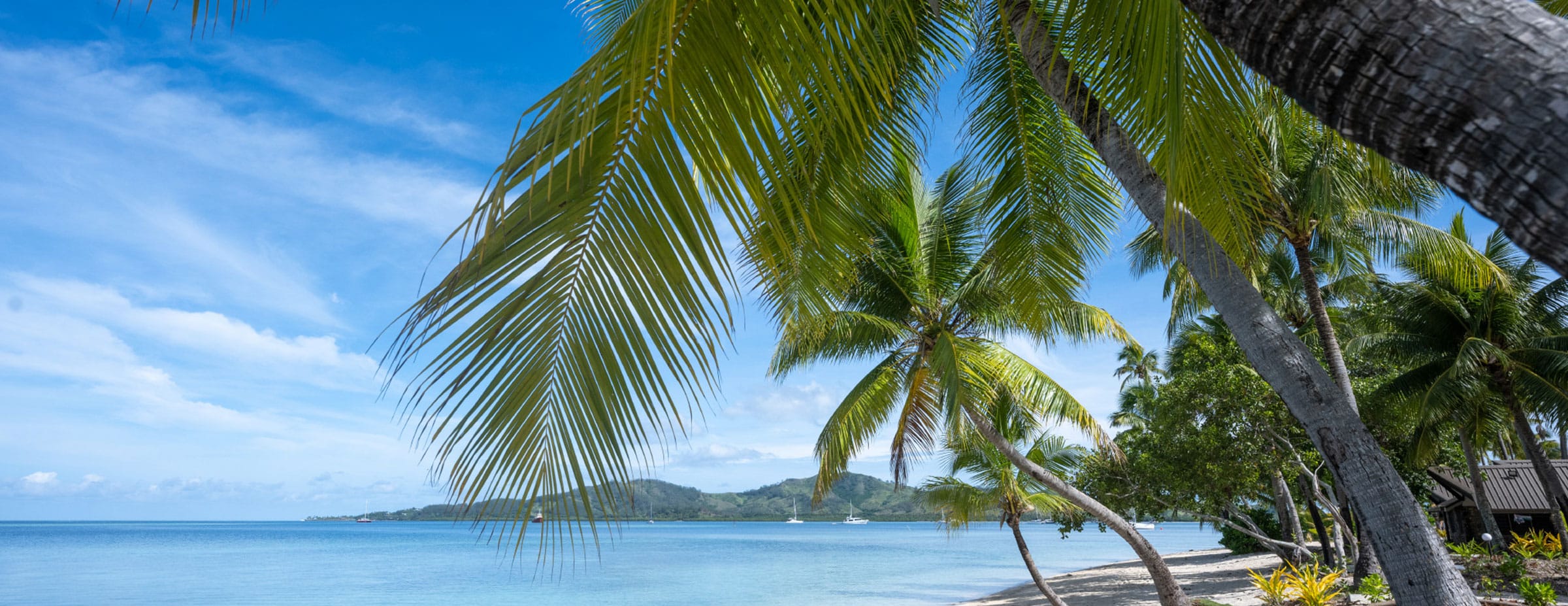 Coconut trees, a beautiful sea water and mountain