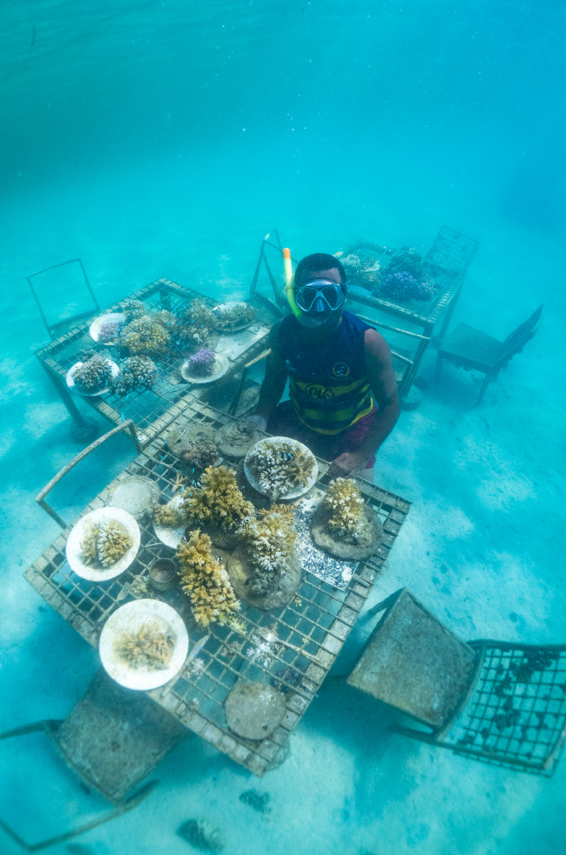 A man sit of the chair under the sea with coral reef