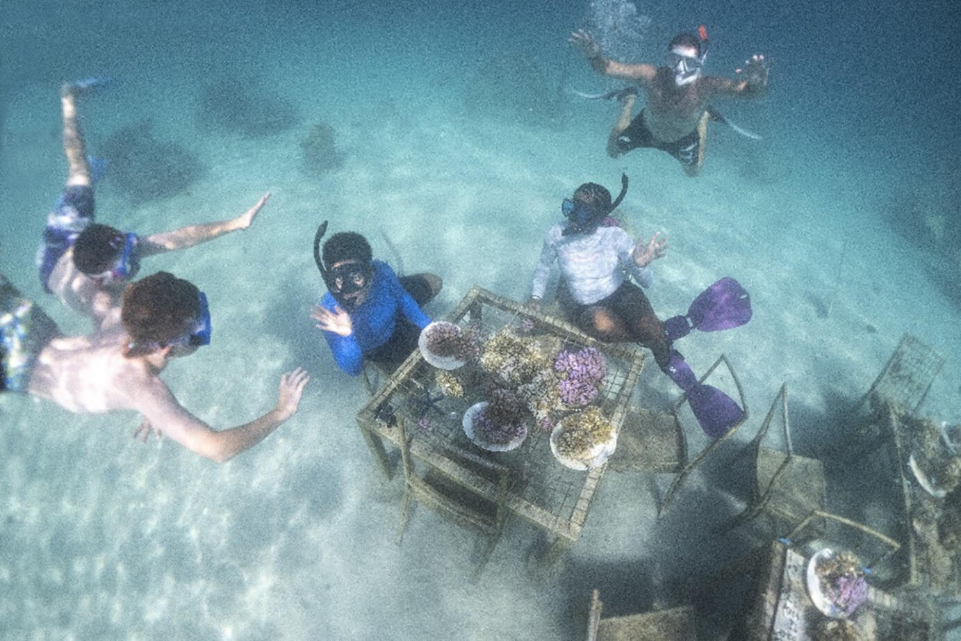 A group of divers preparing for coral conservation