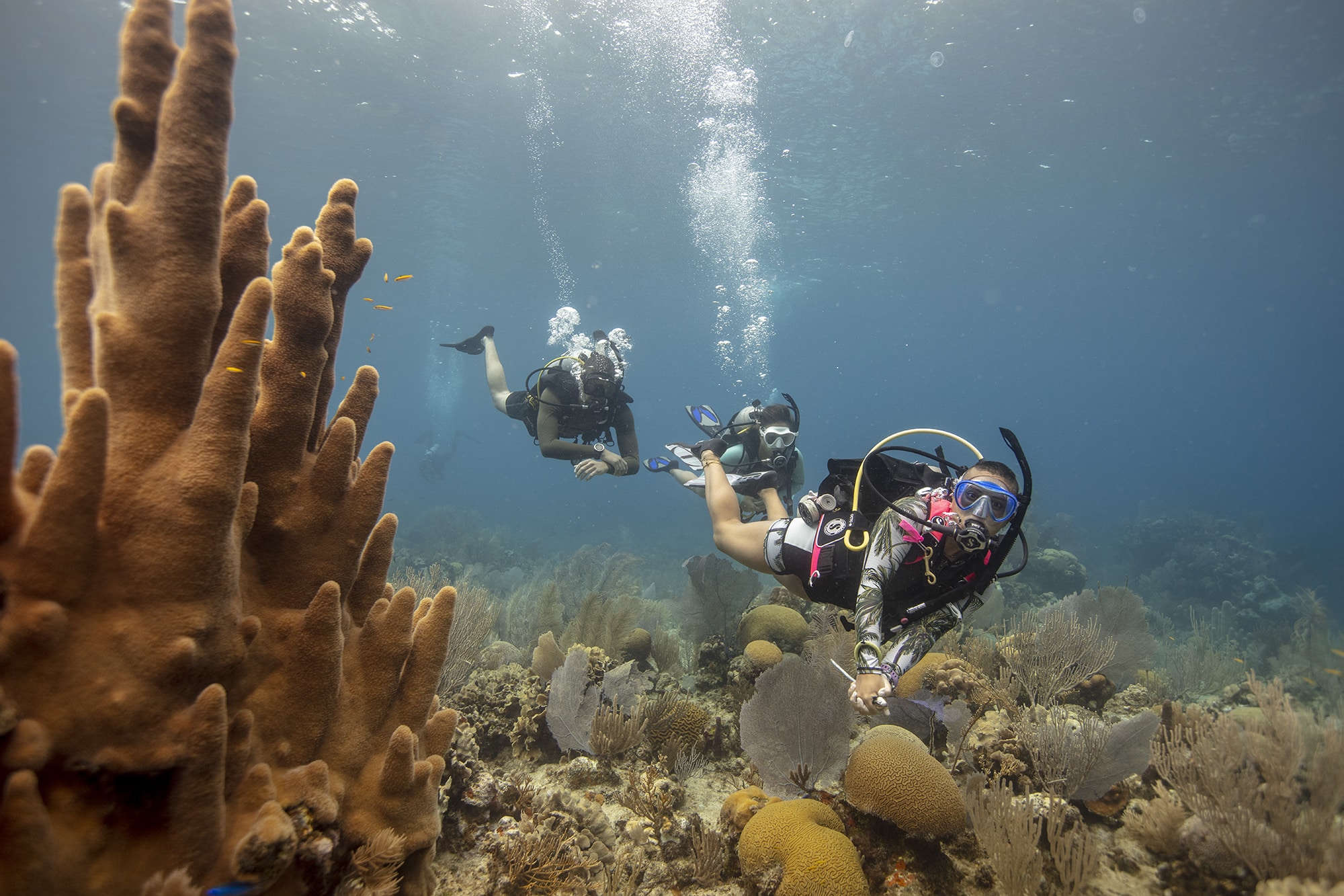 Three divers wearing rebreather and a coral reef