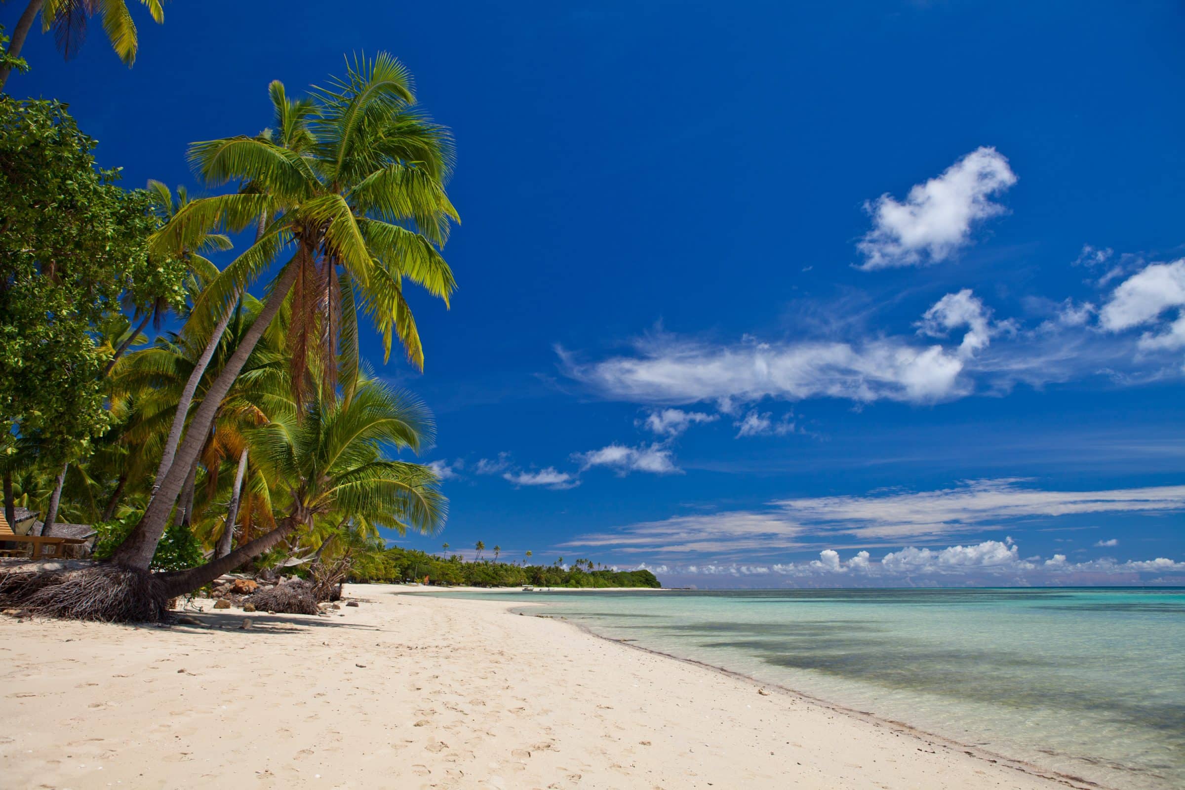 A beautiful vie of a sea, coconut tree and a white clouds